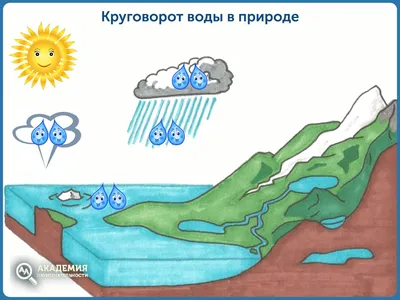 Круговорот воды в природе. | Шишкин Лес | Дзен