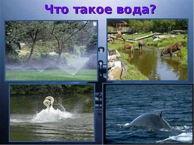 Детские рисунки на тему вода - 45 фото