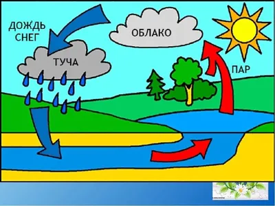 Круговорот воды в природе для детей. Познавательный рассказ