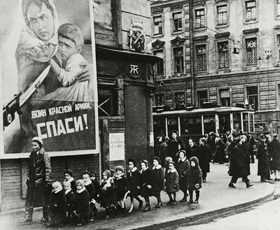 15 поразительных книг о Великой Отечественной войне - Лайфхакер