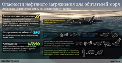 Пластиковое загрязнение планеты. Есть ли жизнь без пластика? - РИА Новости,  10.11.2017