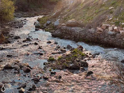 Загрязнение воды рисунок (47 фото) » Рисунки для срисовки и не только