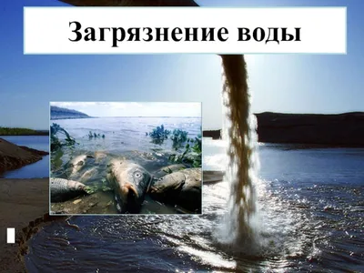Загрязнение вод и нарушение режима стока реферат по экологии | Сочинения  Экология и охрана окружающей среды | Docsity