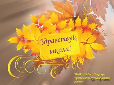 И снова 1 сентября. Веселые и не очень картинки на тему \"Здравствуй, школа!\"  | Вселенная внутри Нас | Дзен