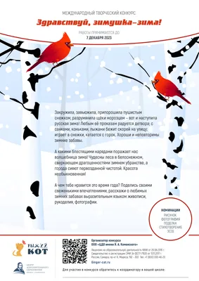 Здравствуй, зимушка-зима! | 17.12.2021 | Камешково - БезФормата