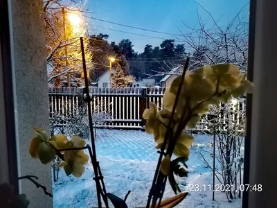 Выставка поделок \"Здравствуй, зимушка - зима\" | МБДОУ МО Г.КРАСНОДАР  \"ДЕТСКИЙ САД № 128\"