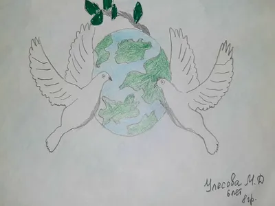Земля наш общий дом»