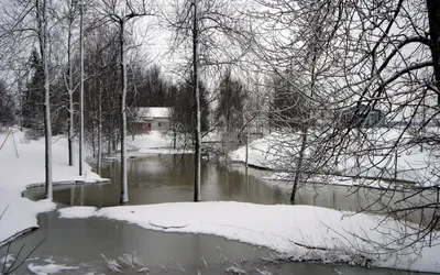 Коллаж на тему зима. Природа России. Сибирь,Новосибирская область foto de  Stock | Adobe Stock