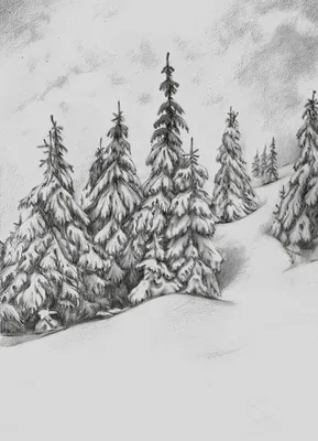 Рисунок зимний лес легкий карандашом - 77 фото