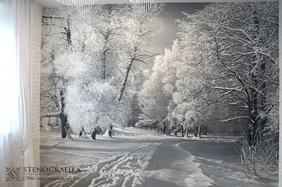 Зимний лес | Пейзажи, Картины пейзажа, Зимние сцены