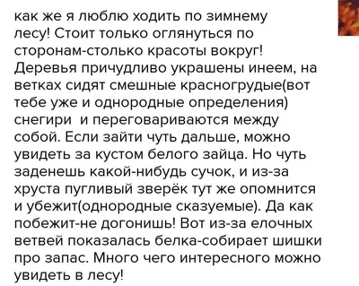 Зимний лес Раскраска картина по номерам на холсте Z-NA161 купить в Москве и  СПб