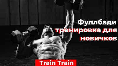 Фуллбади тренировка для новичков! Азы в тренировках с железом. | Train  Train | Дзен