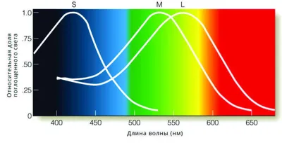 Псевдо-изохроматические таблицы Штиллинга для исследования цветоощущения /  Всеукраинский ин-т офтальмологии им. проф. Л.Л. Гиршмана. - 1-е изд. совет.  под ред. Е.Б. Рабкина и И.Н. Миллера. Харьков: Госмедиздат УССР, 1934. -  [28] л.