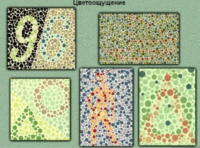 Книга Рабкина Цветоощущения – купить в интернет-магазине OZON по низкой цене