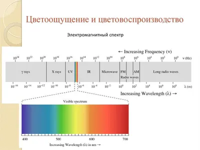 Таблицы Рабкина для исследования цветоощущения с методикой и описанием  метода (твердый переплет) (ID#873572348), цена: 405 ₴, купить на Prom.ua