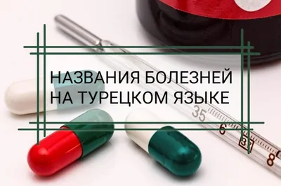 İçimizdeki Şeytan. Глава 12. Роман на турецком языке с переводом на русский  для чтения, пересказа и аудирования, Али Сабахаттин – скачать книгу fb2,  epub, pdf на ЛитРес