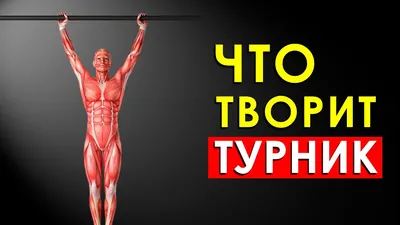 Что будет, если каждый день висеть на турнике? | Сам Себе Ортопед. Спб. |  Дзен