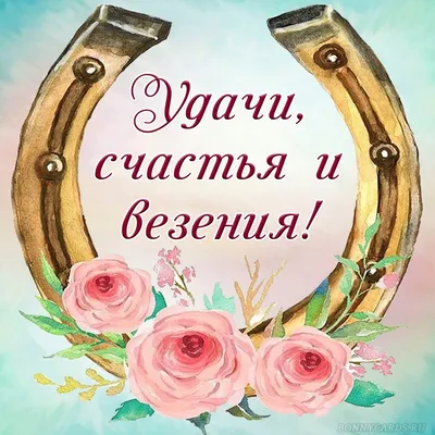 Монета серебряная на удачу \"Счастливый пятак\" – купить в интернет-магазине  «Темпо»