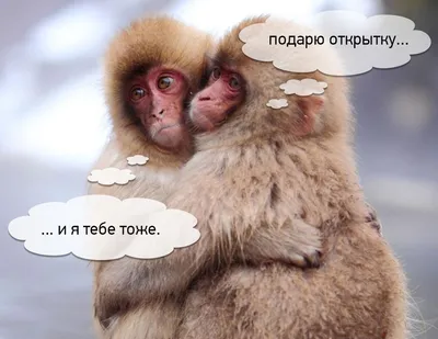 Валентинов день-2017: ностальгические валентинки в стиле Love is |  Українські Новини