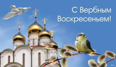 Картинки и красивые открытки на Вербное воскресенье 2022 (30 фото) »  Триникси