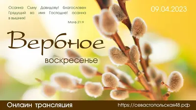 Православные отмечают Вербное воскресенье - газета «Кафа» новости Феодосии  и Крыма