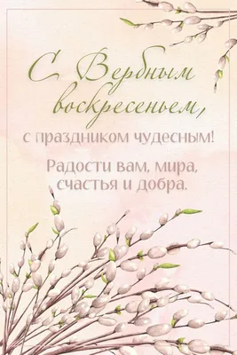 Вербное воскресенье: что можно и нельзя делать в праздник