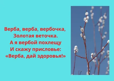 У католиков сегодня Вербное воскресенье - 02.04.2023, Sputnik Беларусь