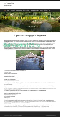 Современные тренды в дизайне визиток