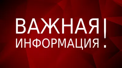 Как развить внимательность у ребенка
