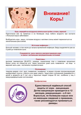 50 картинок «Спасибо за внимание» для ваших презентаций | Canva | Дзен