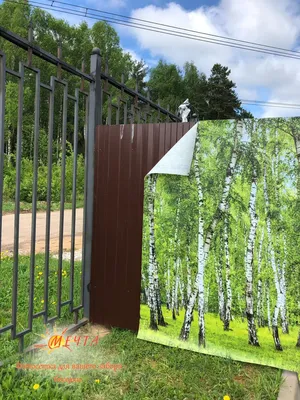 Фотосетка,\"Березовая роща\".Фотосетка для забора,Фотосетка на забор,сетка  для забора,фото сетка для забора,фотосетка | AliExpress