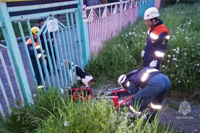 Забор шахматка из строганных досок и металлических столбов под ключ в  Москве по цене 1 885 руб. п/м