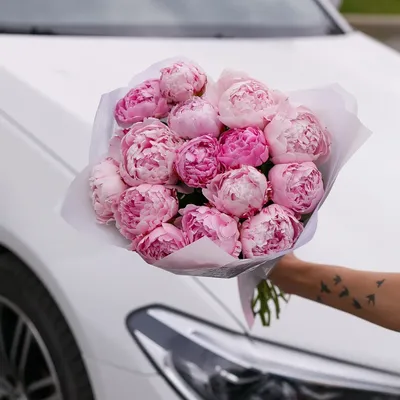 50+ красивых HD фото цветов на аватарку, заставку или фон для соцсетей,  телефона или компьютера | блог интернет - магазина АртФлора