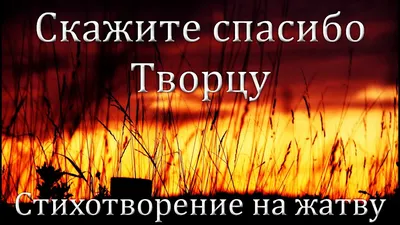 24 сентября будем праздновать ЖАТВУ. По сложившейся традиции, принесём  плоды своего урожая чтобы благословить.. | ВКонтакте