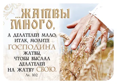 Жатва!