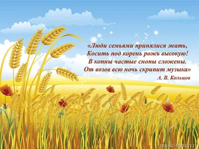 18.09.2022 День благодарения. Жатва - YouTube