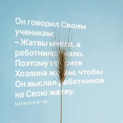Жатва — Википедия