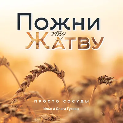 Жатва- что это такое ? | Anna_mag777 | Дзен