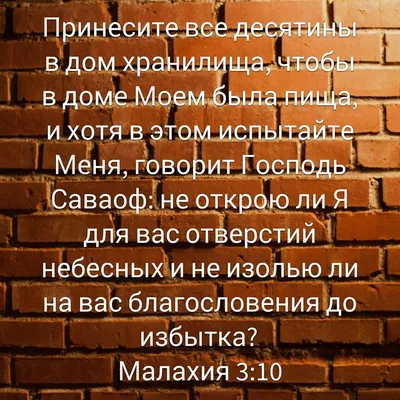 Жатва будет» | «Реставрация мысли» | Дзен