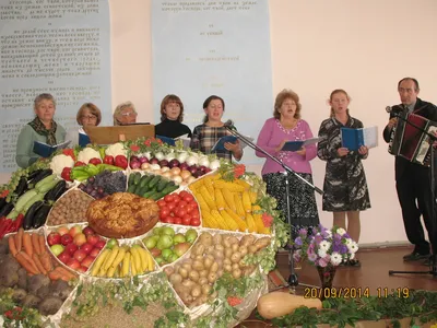 Аграрии завершают жатву зерновых, убирают кукурузу на силос и ведут озимый  сев