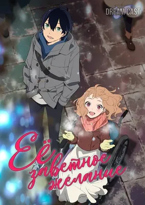 Её заветное желание / Josee to Tora to Sakana-tachi - Dream Cast