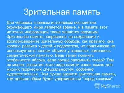 Лесная школа (5-6 лет). Развиваем зрительную память /укр (ID#1543495621),  цена: 50.40 ₴, купить на Prom.ua