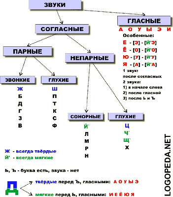 Звуки речи - классификация и графическая артикуляция