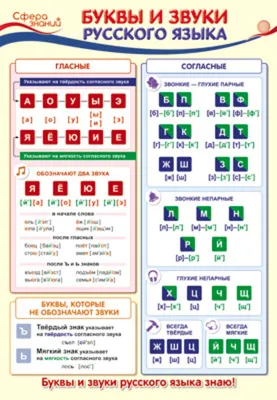 Плакат 30*40см \"Буквы и звуки русского языка\" - Элимканц