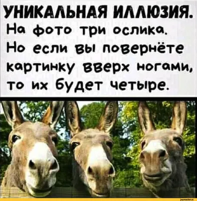 Картинки на стрим - 70 фото
