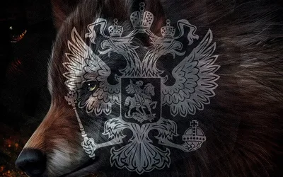 Смешные картинки на аву в ватсап в лучшем качестве (19 фото)