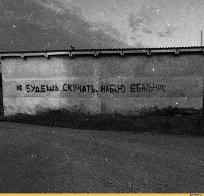 надписи на стенах / смешные картинки и другие приколы: комиксы, гиф  анимация, видео, лучший интеллектуальный юмор.