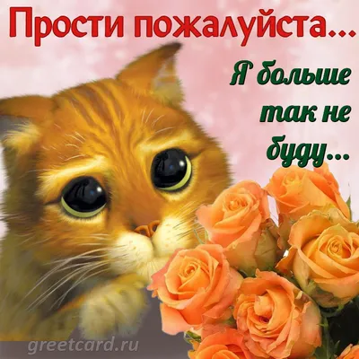 ნუ მიბრაზდები ну мибраздеби Не обижайся на меня (не злись на… | Instagram
