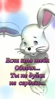 ты давай не обижайся кот｜Поиск в TikTok
