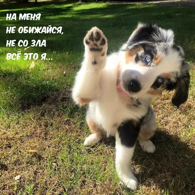 Открытка с именем Саша Не обижайся. Открытки на каждый день с именами и  пожеланиями.